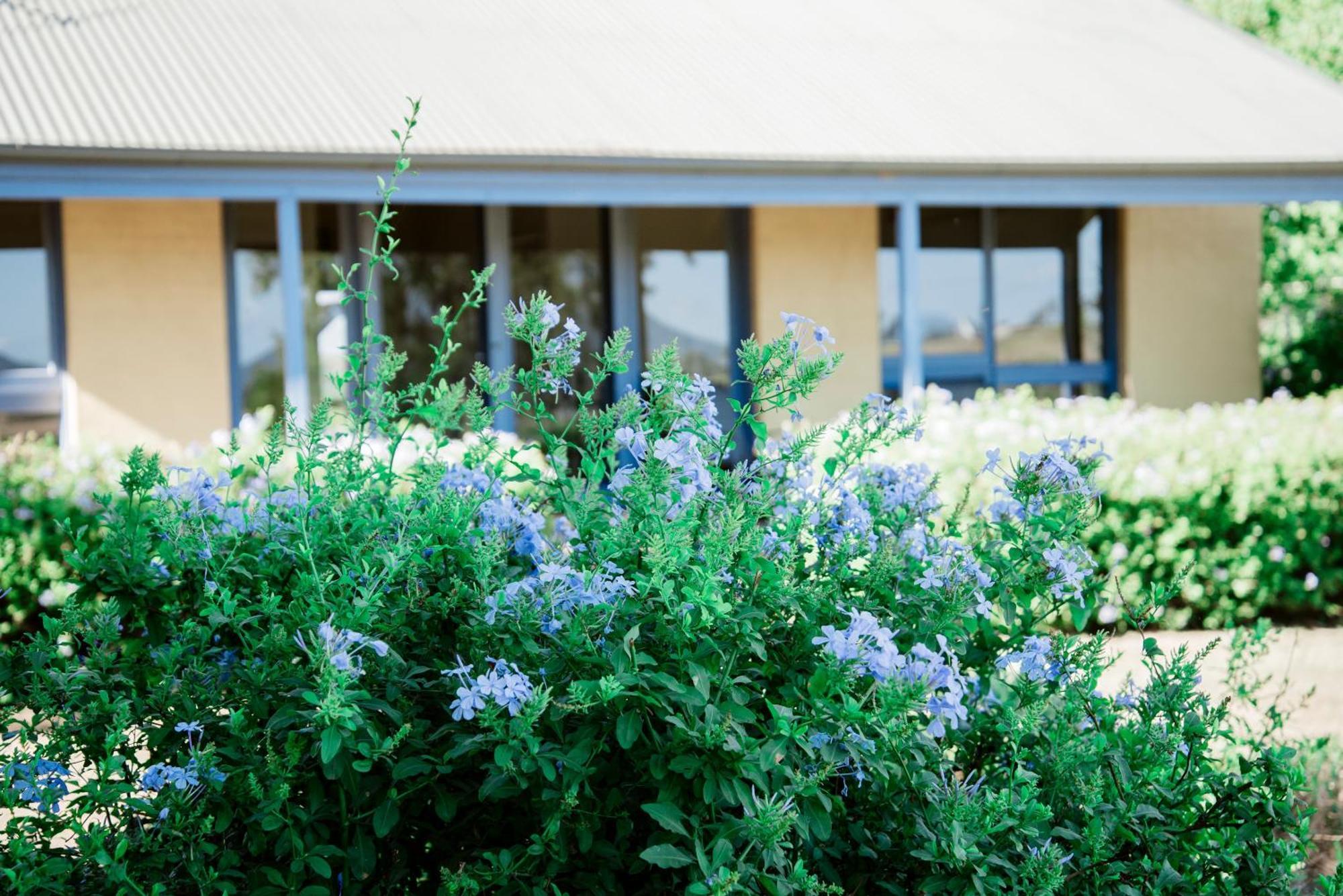 Tranquil Vale Vineyard Hotel Luskintyre Exterior foto