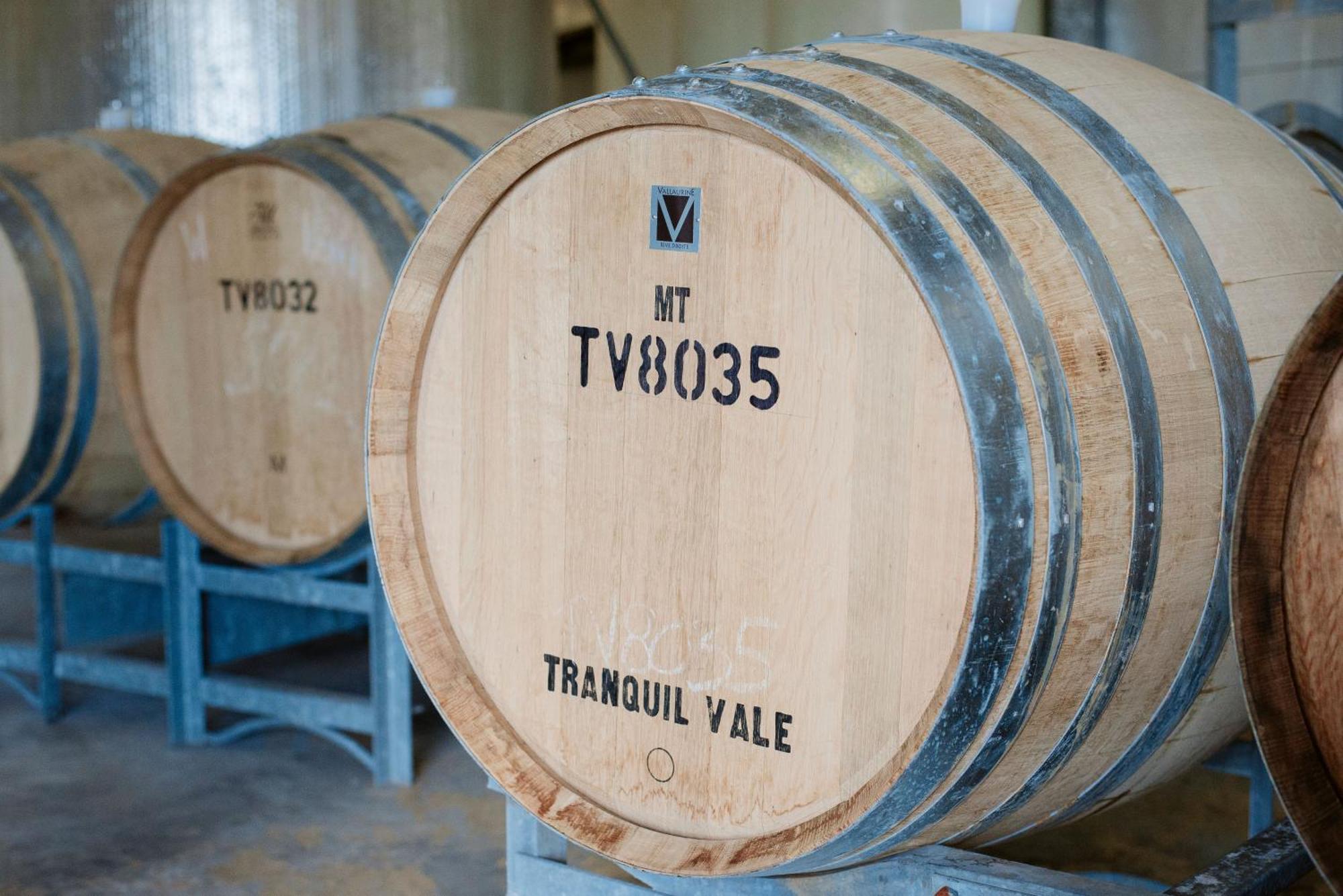 Tranquil Vale Vineyard Hotel Luskintyre Exterior foto