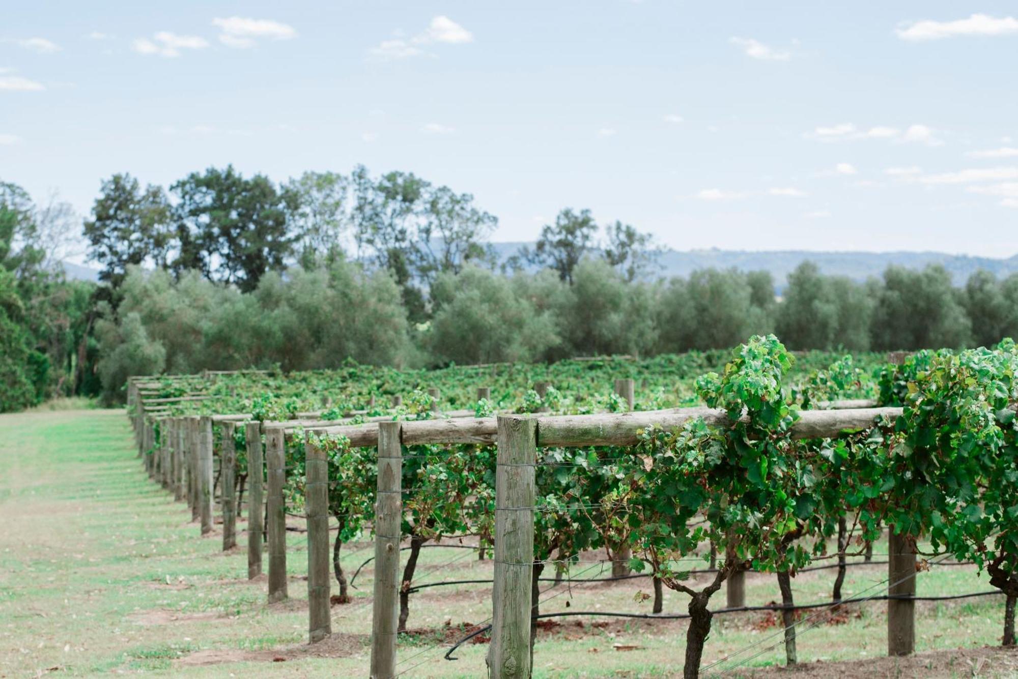 Tranquil Vale Vineyard Hotel Luskintyre Exterior foto