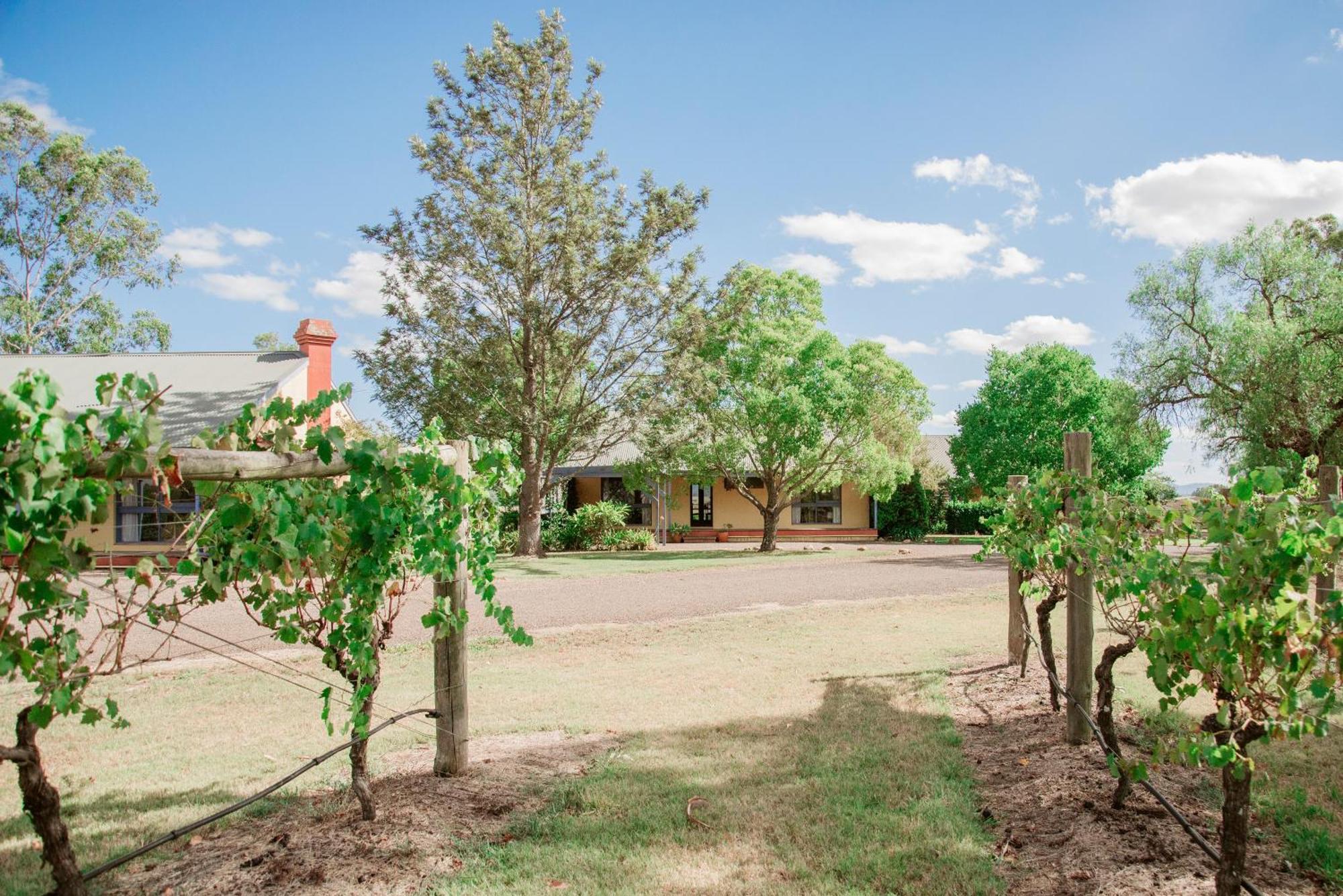 Tranquil Vale Vineyard Hotel Luskintyre Exterior foto