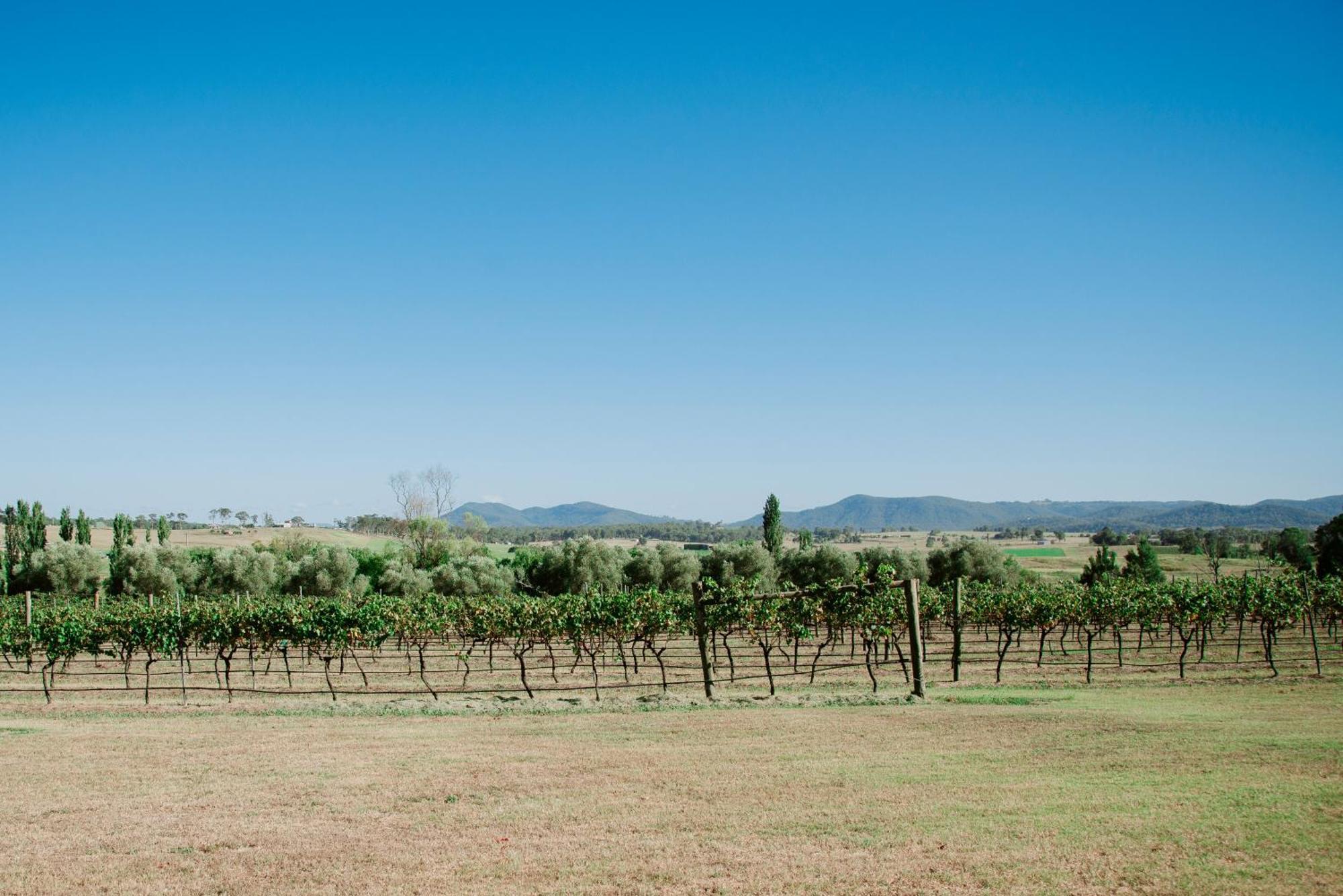 Tranquil Vale Vineyard Hotel Luskintyre Exterior foto