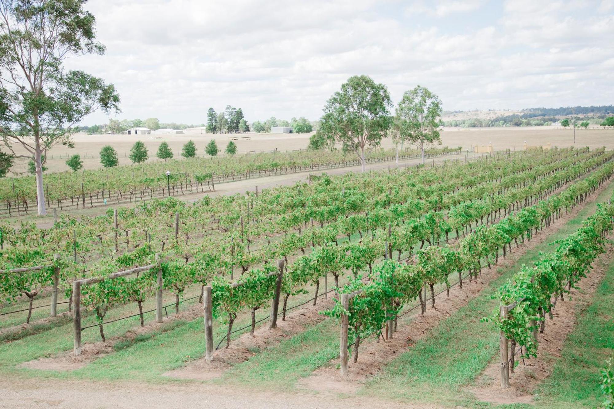 Tranquil Vale Vineyard Hotel Luskintyre Exterior foto