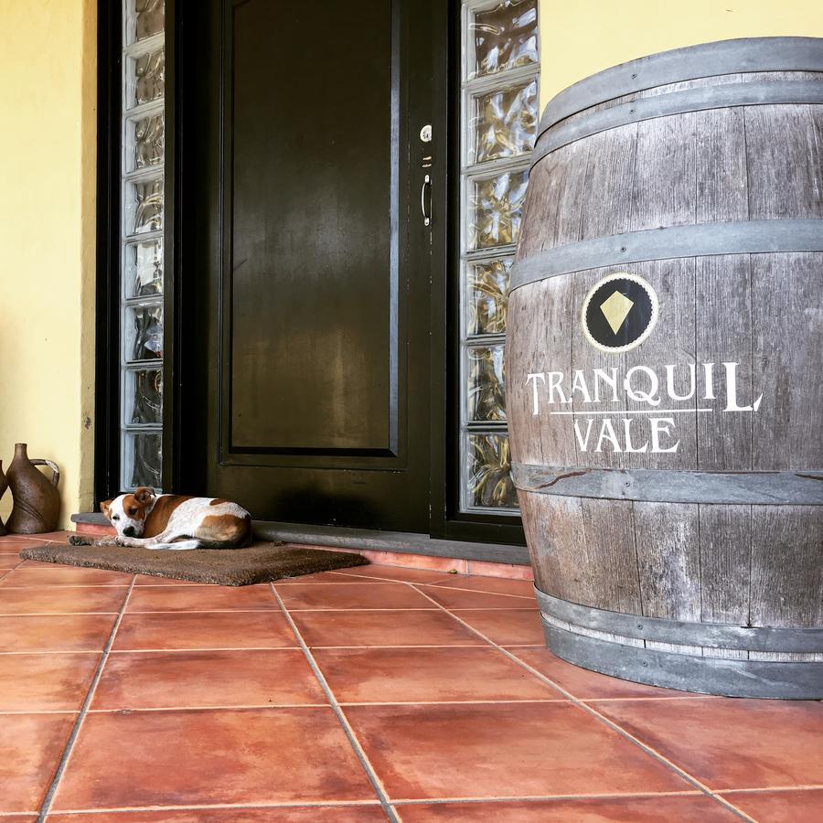 Tranquil Vale Vineyard Hotel Luskintyre Exterior foto