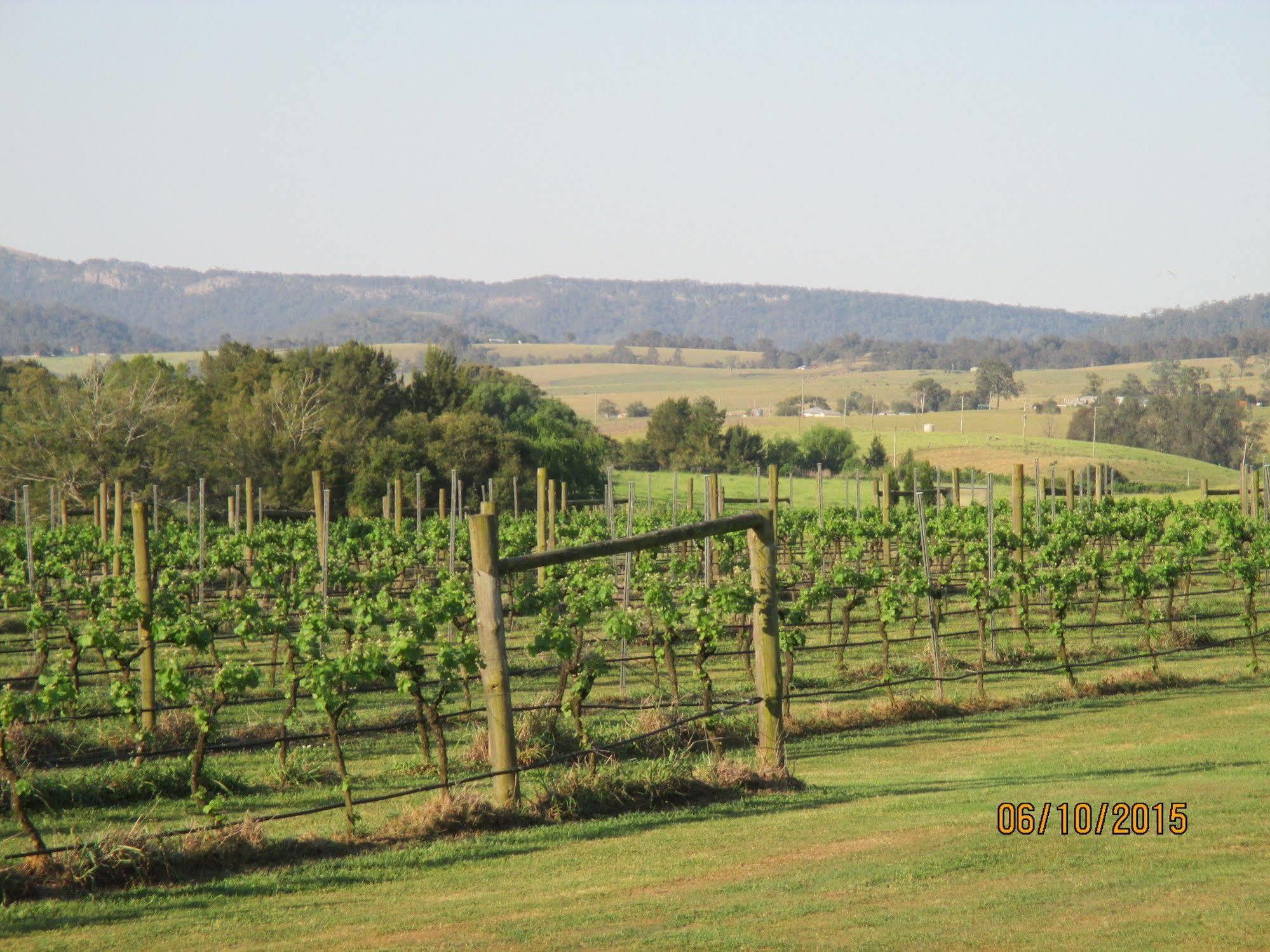 Tranquil Vale Vineyard Hotel Luskintyre Exterior foto