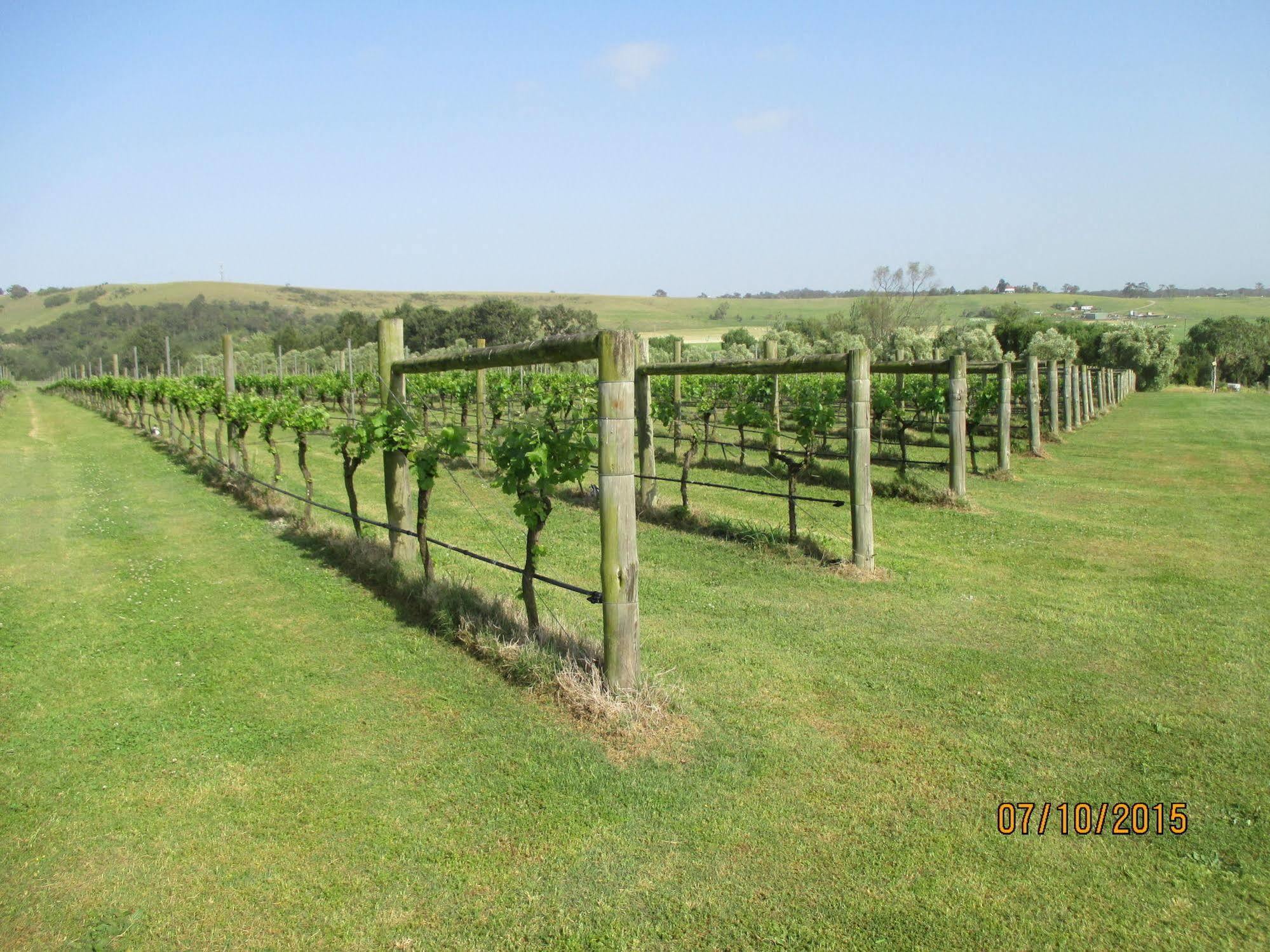 Tranquil Vale Vineyard Hotel Luskintyre Exterior foto